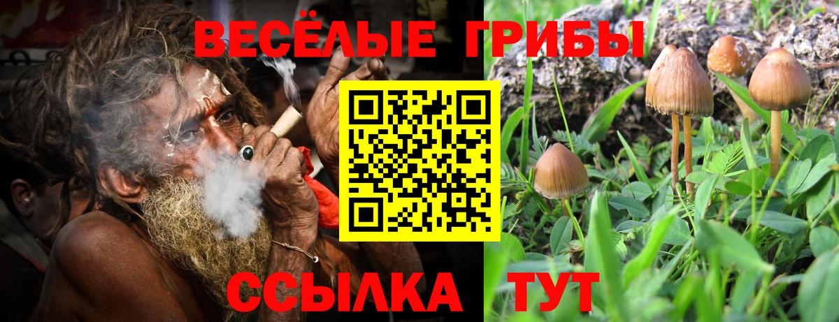 Галлюциногенные грибы ЛСД Тихвин
