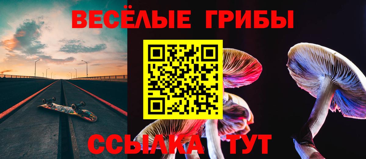 Галлюциногенные грибы Cubensis  Вход с VPN  Галлюциногенные грибы мухоморы  Тихвин 