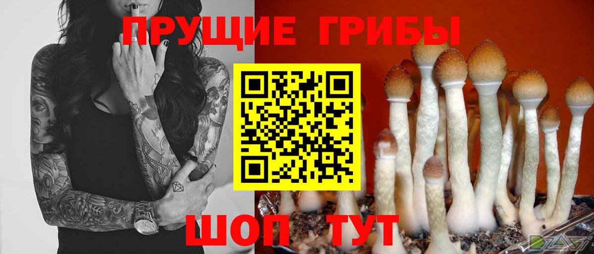 Гашиш  МЕТ  Тихвин  Канабис  A PVP СК кристаллы  Конопля  КЕТАМИН  NBOMe  Гашиш  Вход с VPN  Мефедрон кристаллы  Кокаин 